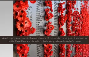 red poppy tribute wall