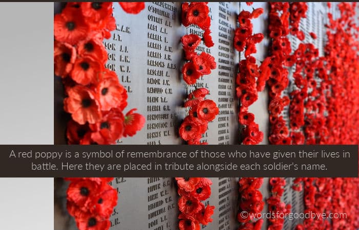 Image: remembrance wall - names of fallen soldiers with a red remembrance poppy beside each. Image: remembrance wall - names of fallen soldiers with a red remembrance poppy beside each.